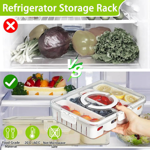 Divided Veggie Tray With Lid And Handle Four Compartment Snack Storage For Fridge Or Freezer Portable Fresh Produce Saver Organizer