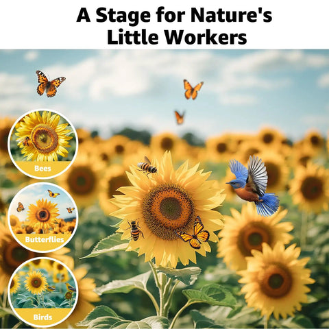 Sunflower Seed Mix Pack With 15 Varieties And 5000 Seeds For Planting Four Ounce Bag Giant Mammoth And Dwarf Garden Varieties High Germination Attracts Pollinators Green Thumb Approved And Easy To Grow