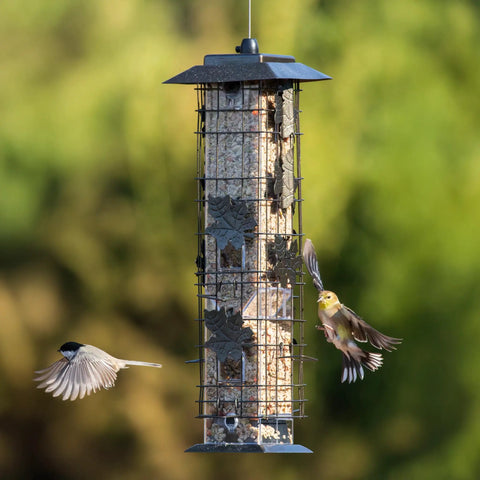 Weight Activated Squirrel Proof Bird Feeder With Two Pound Seed Capacity, Outdoor Metal Wild Bird Feeder With Durable Finish