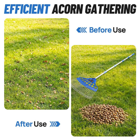 Acorn Gatherer Pro Fast Lawn Cleanup Tool showing before and after use with acorns collected in pile on grass