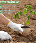 Gardener using 3.2 Inch Biodegradable Peat Pots With Drainage Holes, 50 Pack Seedling Starters Kit With 100 Plant Markers to transplant