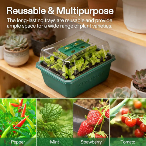 Easy To Use 72 Cell Seed Starter Kit With Humidity Dome And Drain Holes, showing green propagation tray with seedlings indoors