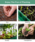 Steps of planting using Six Pack Seed Starter Tray Kit With Forty Cell Trays And Humidity Dome, Base, Mini Propagator