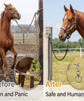 Horse secured with heavy duty stainless steel horse tie ring with eye bolt and quick snap, demonstrating safe humane tethering.