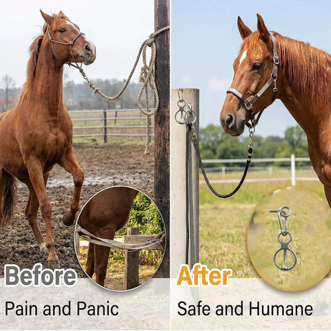 Horse secured with heavy duty stainless steel horse tie ring with eye bolt and quick snap, demonstrating safe humane tethering.