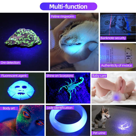 UltraBright 365nm UV Flashlight Black Light Mini USB Rechargeable Ultraviolet Spotlight multi-function uses collage