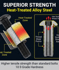 Diagram of All In One M6 10.9 Grade Alloy Steel Hex Socket Bolts showing heat-treated zones and stress areas.