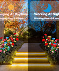 Outdoor Solar Garden Lights 4 Pack Waterproof With 20 Realistic Solar Roses Multi Color Changing Flower Decor illuminating at night.