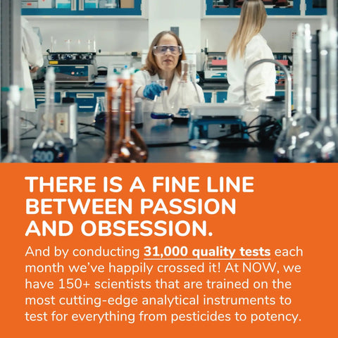 Laboratory scene showing scientists conducting research with various glassware, illustrating dedication to quality testing in science.