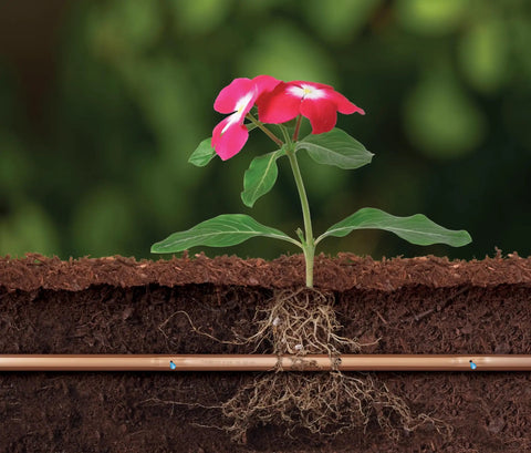 Pressure Compensating Drip Irrigation Tubing One Half Inch Outer Diameter 0.700 Inch Subsurface Emitter With Copper Shield Technology To Keep Roots From Creeping, 18 Inch Emitter Spacing, 50 Foot Roll For Lawn Garden Or Turf Irrigation installed for plant watering.