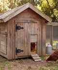 Wooden coop with Antique Cast Iron Heavy Duty T Hinges For Gates 5.3 Inch Vintage Black Decorative Hinges and chickens outside