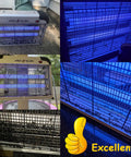 Indoor Electric Bug Zapper 2800V With 20W Blue Light Attractant showcasing front and side views with glowing blue bars