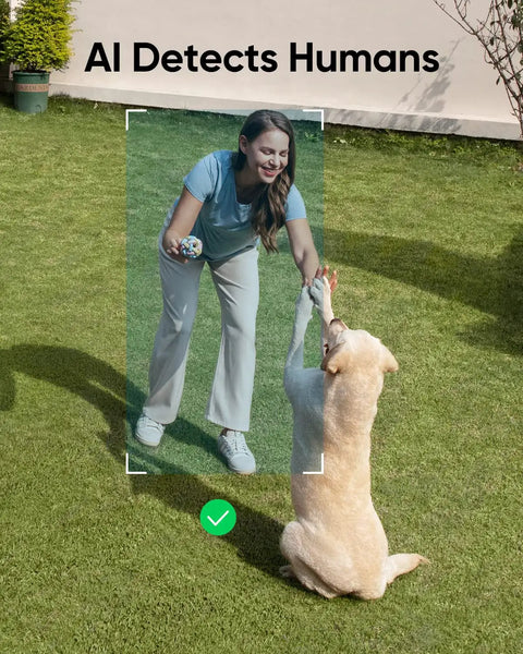 AI detects human in yard monitored by Solar Powered Outdoor Security Cam With 2K Resolution No Subscriptions Built In 8GB Storage