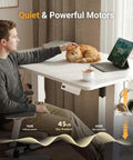 Electric Standing Desk With Three Memory Presets, 40 By 24 Inch Sit To Stand Desk, quiet motor in home office setup