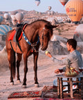Man feeding horse an apple in a scenic balloon-filled landscape, horse wearing red and blue tack