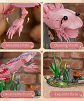 Pink Axolotl Building Block Set 998 Pieces 1 To 1 Scale Amphibian Model Kit showing movable limbs, opening mouth, and base.