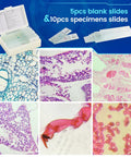 Microscope kit slides showing colorful specimen details for Kids Microscope Kit With 40X To 2000X Magnification, 3 Eyepieces.