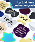 Various stainless steel pet ID tags with custom engraving in bone, round, heart, and bowtie shapes, showcasing contact details.
