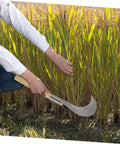 Person using Long Handle Manganese Steel Grass Sickle For Weeding And Harvesting Garden Care With Non Slip Wooden Handle Comfortable Grip