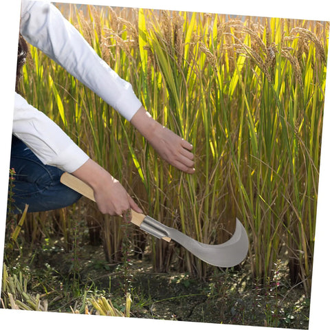 Person using Long Handle Manganese Steel Grass Sickle For Weeding And Harvesting Garden Care With Non Slip Wooden Handle Comfortable Grip