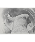 Pencil drawing of a bird demonstrating Urban Artist Graphite And Charcoal Powder 15 Gram For Soft Shading And Rich Pigment In Drawings