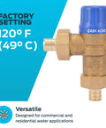 Thermostatic mixing valve, Cash Acme 3/4 in brass with blue cap and barb fittings (HG110)