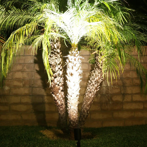 Low Voltage 12V 4W Outdoor Landscape Lights With Adjustable 160 Degree Knuckle illuminating palm tree against brick wall