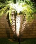 Palm tree illuminated by Low Voltage Outdoor LED Landscape Lighting Kit 12V 4W Bronze 6 Pack Waterproof Pathway Spotlights