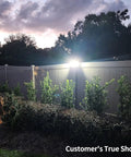 Solar Backyard Flood Lights With 6000mAh Battery illuminating a garden fence at dusk, highlighting surrounding trees and shrubs.