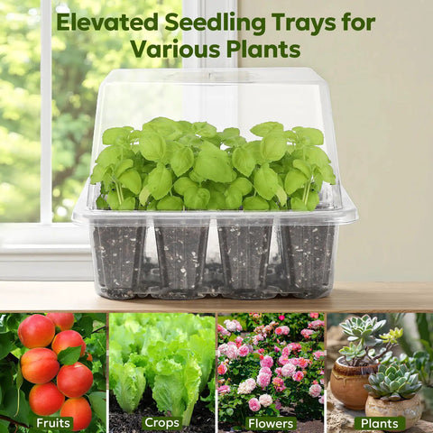 Seed Starter Kit With Grow Light And Elevated Humidity Dome For Seed Starting, Clear Cell Tray, Adjustable Humidity, 12 Full Spectrum LED Beads, Indoor Greenhouse, 6 Pack