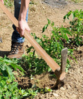 Two Pack Beech Wood 35 Inch Pick Axe Handle Replacement For Heavy Duty Pickaxe And Mattock Tools in use in garden soil