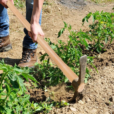 Two Pack Beech Wood 35 Inch Pick Axe Handle Replacement For Heavy Duty Pickaxe And Mattock Tools in use in garden soil