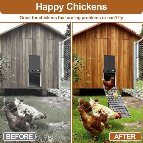 Before and after image showing Adjustable Chicken Coop Ramp With Waterproof Non Slip Design And Easy To Clean Ladder in use.