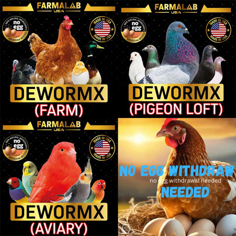 Image of DewormX products featuring pigeons and chickens. Includes "No Egg Withdrawal" text and Made in USA badges.