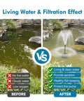 Comparison of pond water before and after using All In One Pond Filtration System With 660GPH Fountain Pump Kit for clear water