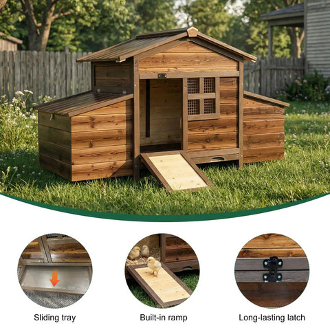 Spacious Wooden Chicken Coop With Two Nesting Boxes For Your Backyard Flock shown outdoors with tray, ramp, and latch details.