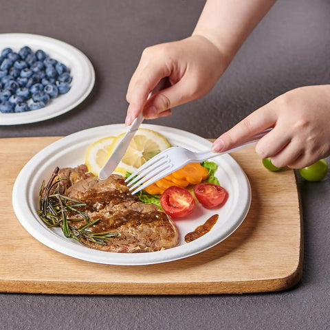 Heavy Duty 9 Inch Disposable Party Plates 150 Pack Eco Friendly Biodegradable Sugarcane Bagasse White Unbleached Dinner Plates For BBQs Picnics And Parties Compostable No Plastic used for serving a meal with steak and vegetables.