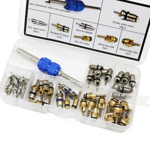 40pcs car AC valve core kit with blue dual-head dismantling tool and assorted metal valve cores in a plastic case