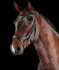 ComFiTec Vogue Anatomical Bridle With Ultra Soft Padding Headpiece on brown warmblood horse