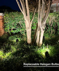 8 Pack 50W Low Voltage Backyard Landscape Spotlight Kit With 3000K Warm White Flood Lights illuminating tree trunk at night