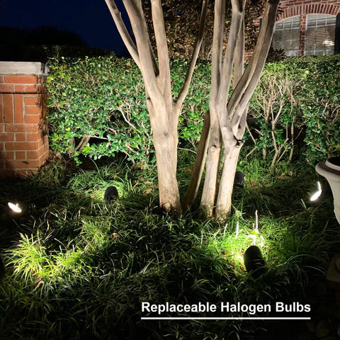 8 Pack 50W Low Voltage Backyard Landscape Spotlight Kit With 3000K Warm White Flood Lights illuminating tree trunk at night