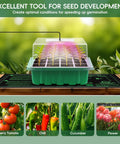 3 Pack Seed Starter Tray Kit With Grow Lights Humidity Dome 36 Cell Large Seedling Trays on heating mat for seed development