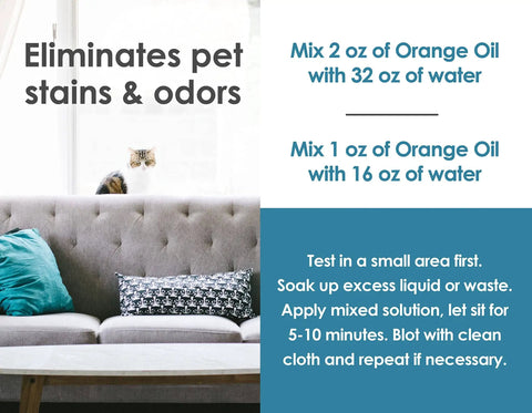 Instructions for mixing Orange Oil Concentrate All Purpose Cleaner Degreaser With Pet Odor Eliminator in a living room setting