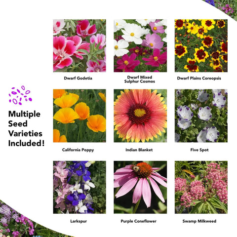 Image showing various flowers from the Easy Grow Wildflower Seed Mat Delivers 40 Sq Ft Of Annual And Perennial Mix On Eco Friendly Bio Fabric