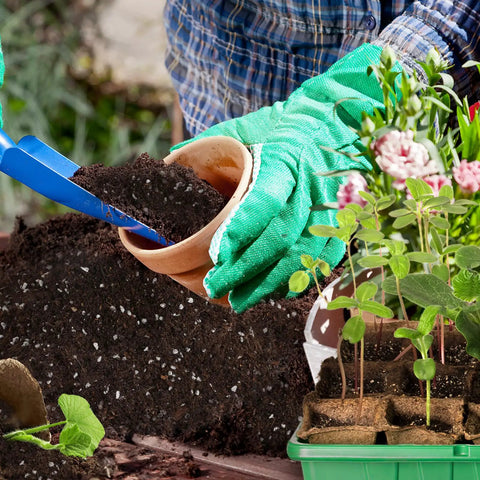 Gardeners using Organic Seed Starter Mix For Fast Germination And Strong Root Systems, Premium Potting Soil 1 Quart in small pots