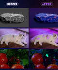 365Nm UV Black Light Flashlight With LCD Display Rechargeable 30W Ultraviolet Flashlight reveals pet stains, minerals, and fluorescence.