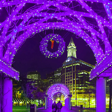 Purple 66 Foot 200 LED String Lights With 8 Modes For Indoor And Outdoor Christmas Tree Wedding Party Decor