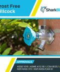 Frost Free Sillcock Outdoor Faucet With Push To Connect Inlet And Three Quarter Inch Hose Outlet Brass Construction Chrome Blue Finish