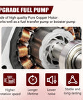 Universal 12 Volt Electric Fuel Pump For Cars And Trucks Straight Plug And Play Design showing copper motor and internal components.