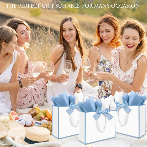 Three Pack Large Gift Bags With Handles No Fuss Gifting Ready 12.6 By 10 By 4 Inch Set in picnic scene, white with blue rim.
